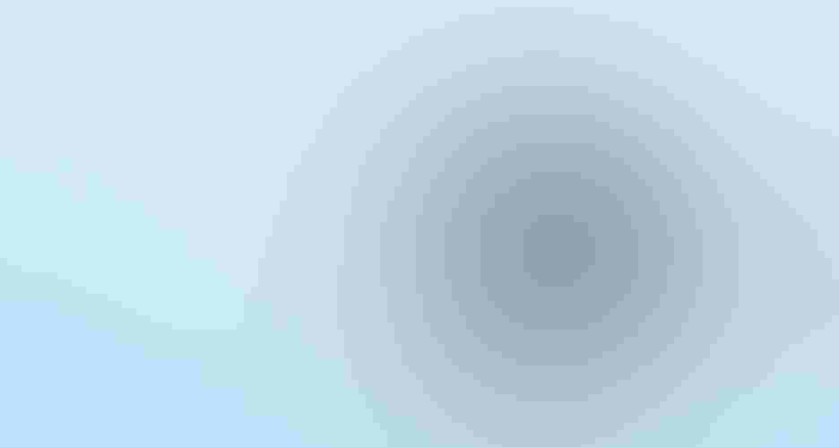 Common loon, by Courtney Moore