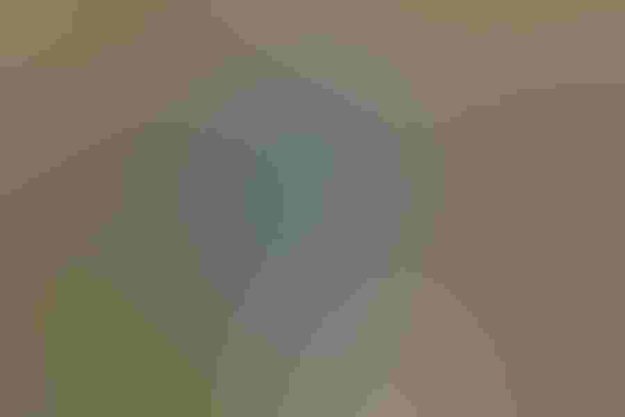 Red-and-green macaw, by George Scott