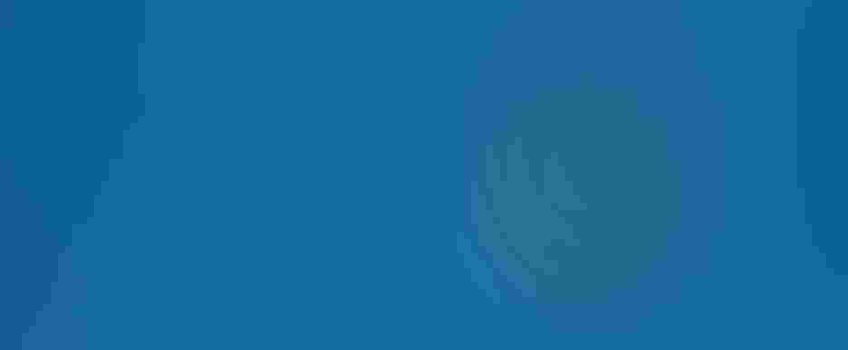 Horned puffin, by Richard Simonsen