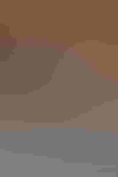 Sandhill crane, by Michael Rosenbaum