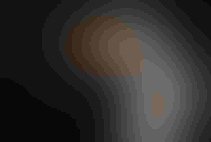 Great egret, by Salah Baazizi