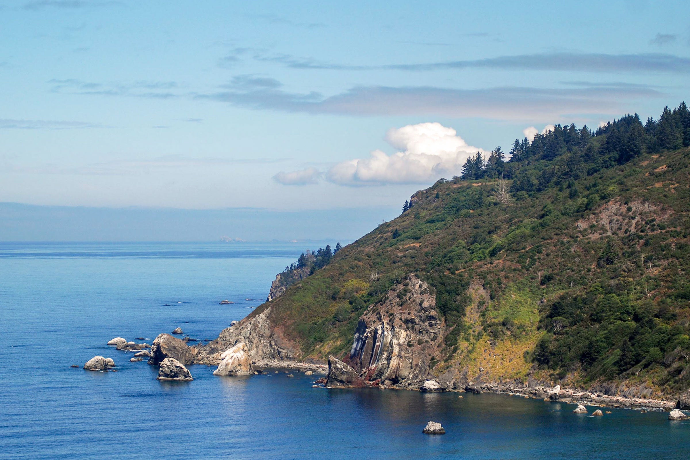 The bluffs to the south of the Klamath River mouth are expected to provide movement corridors (high winds), potential food resources if marine mammals wash up, and roosting habitat for condors. Matt Mais/Yurok Tribe