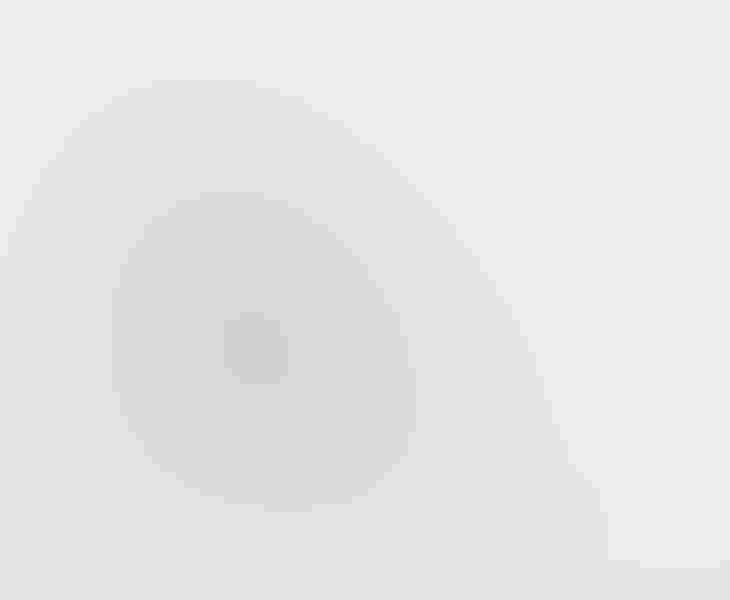 Snowy egret, by Judy Lynn Malloch