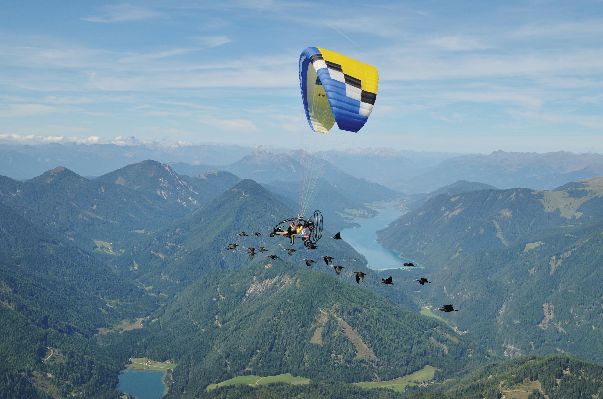 Schmalstieg y el piloto Walter Holzmüller guían parte de la nidada de 2015 a Italia para pasar el invierno en una de las dos aeronaves que se utilizan para guiar a las aves.