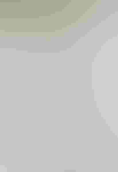 Great blue heron, by Eleanor Briccetti