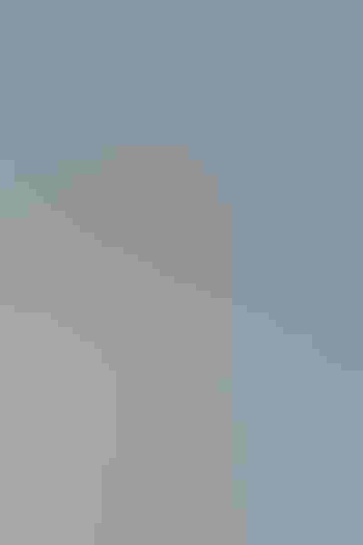 Yellow-crowned night-heron, by Heather Roskelley