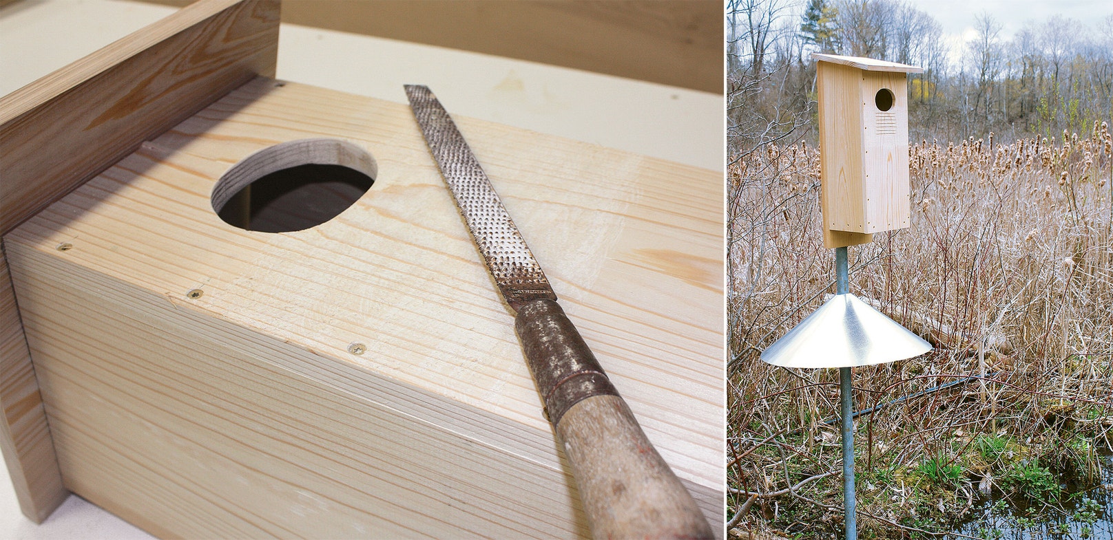 Duck Box Installation How to Build a Wood Duck Nest Box | Audubon