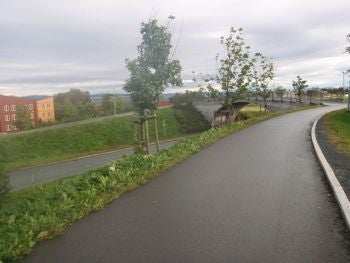 Moholt bike overpass