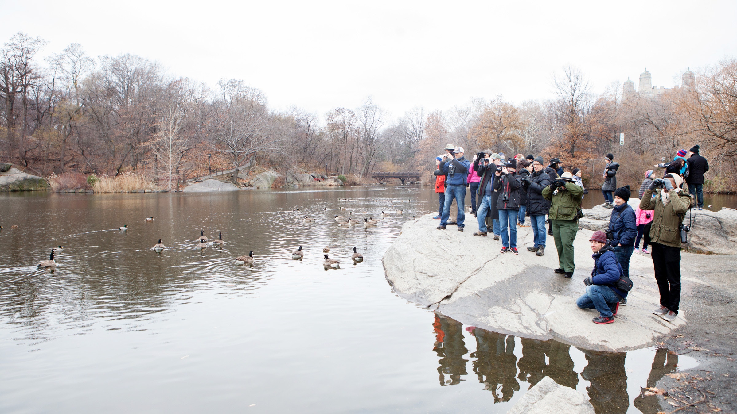 Audubon Christmas Bird Count 2024 Calendar 2024 May audubon-christmas-bird-count-2024-calendar-2024-may