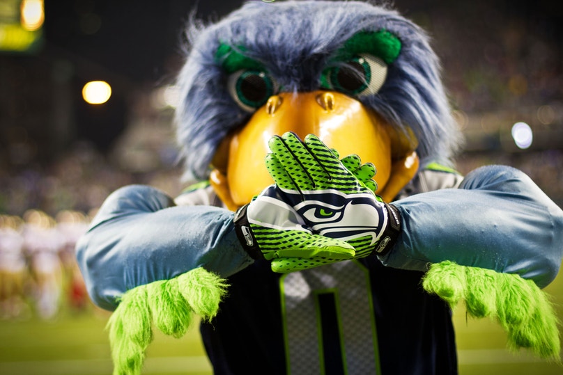Serrano Seahawk What Is a Seahawk, Anyway? | Audubon