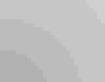 Black-crowned Night Heron