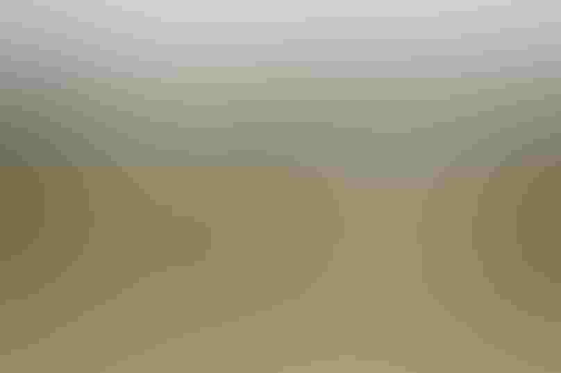 Whooping Cranes. Photo: Klaus Nigge/USFWS