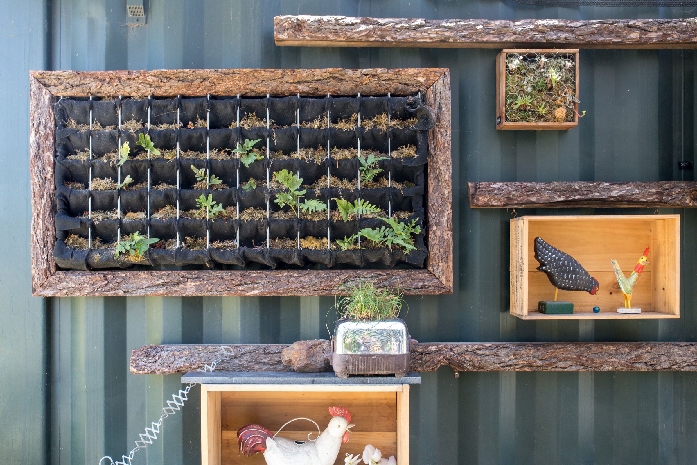 Creativity abounds in small spaces. Build a wall planter to optimize sunlight—or even plant in broken household appliances. Camilla Cerea/Audubon
