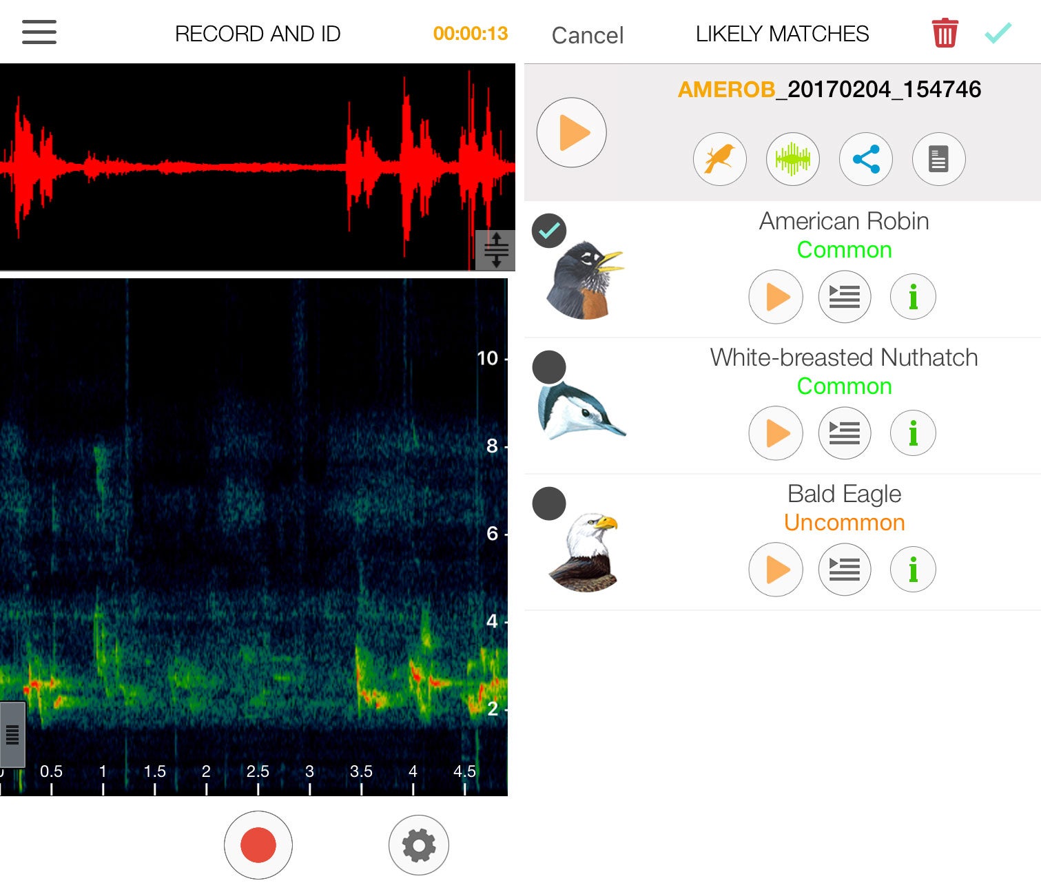 From left to right: Sonograms comparing the field recording with the app's pre-recorded clips; the top three options, ranked by probability. Courtesy of Jayme Moye