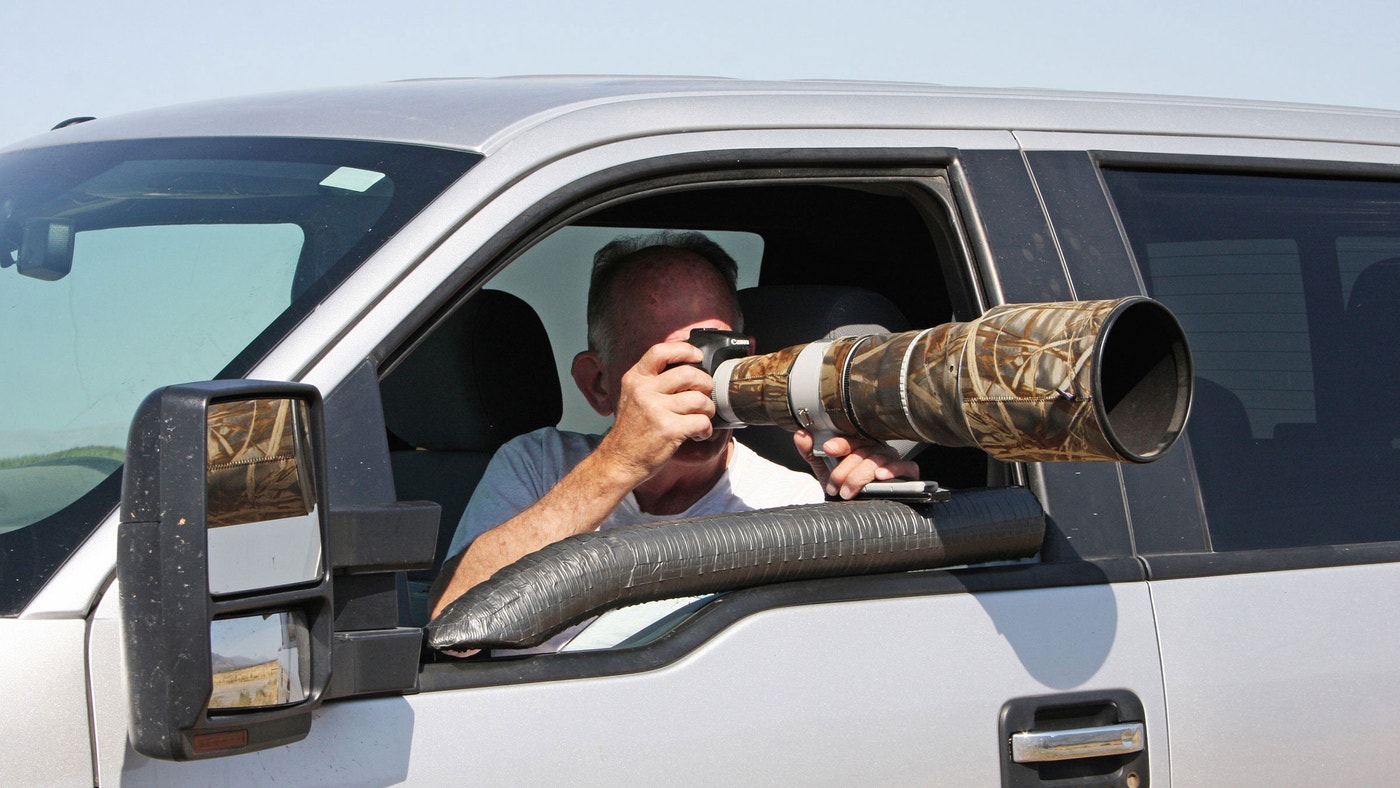 How to Photograph Raptors From a Car | Audubon