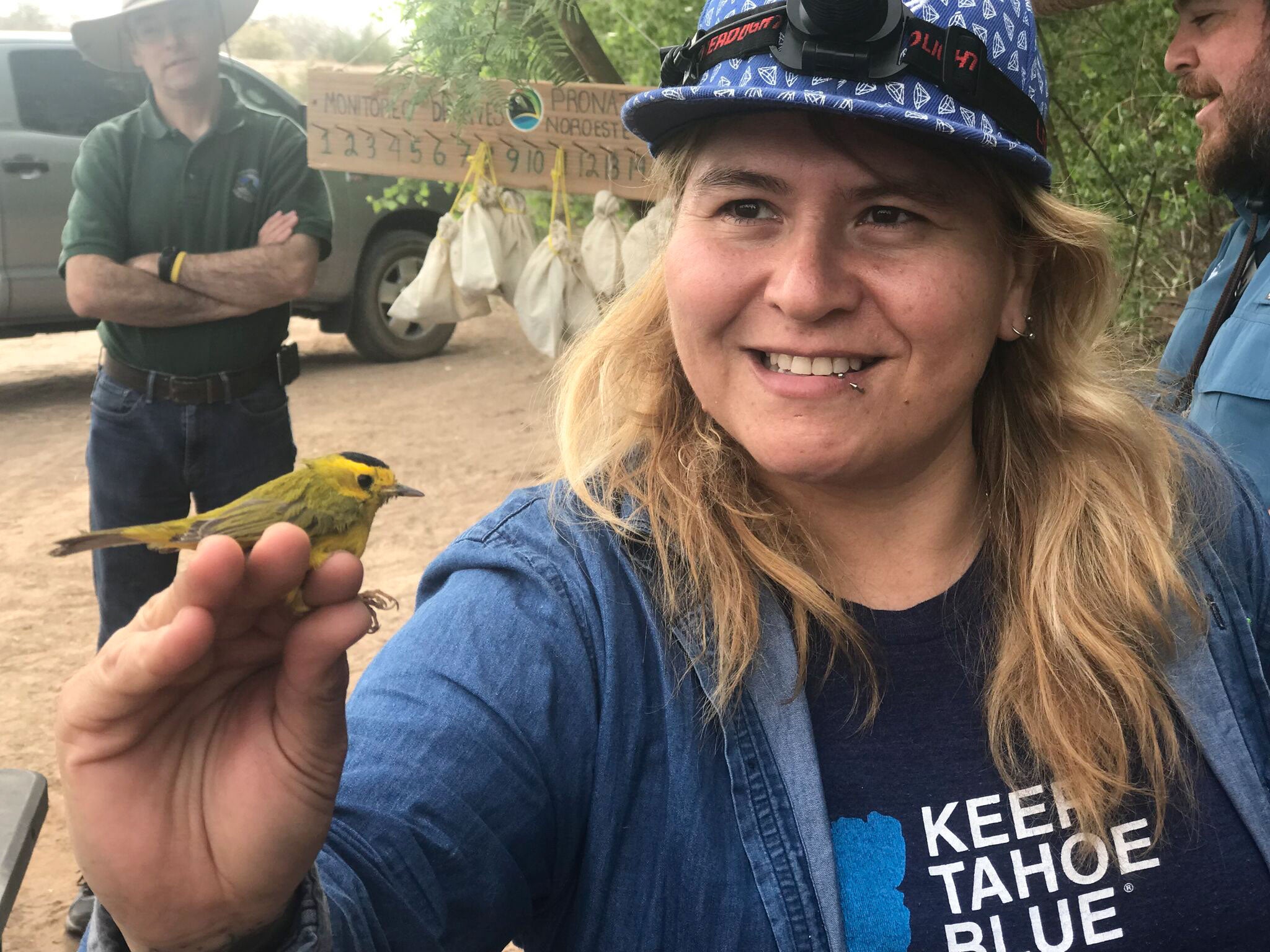Alejandra Calvo of Pronatura Noroeste holding a Wilson's Warbler. Jennifer Pitt/Audubon