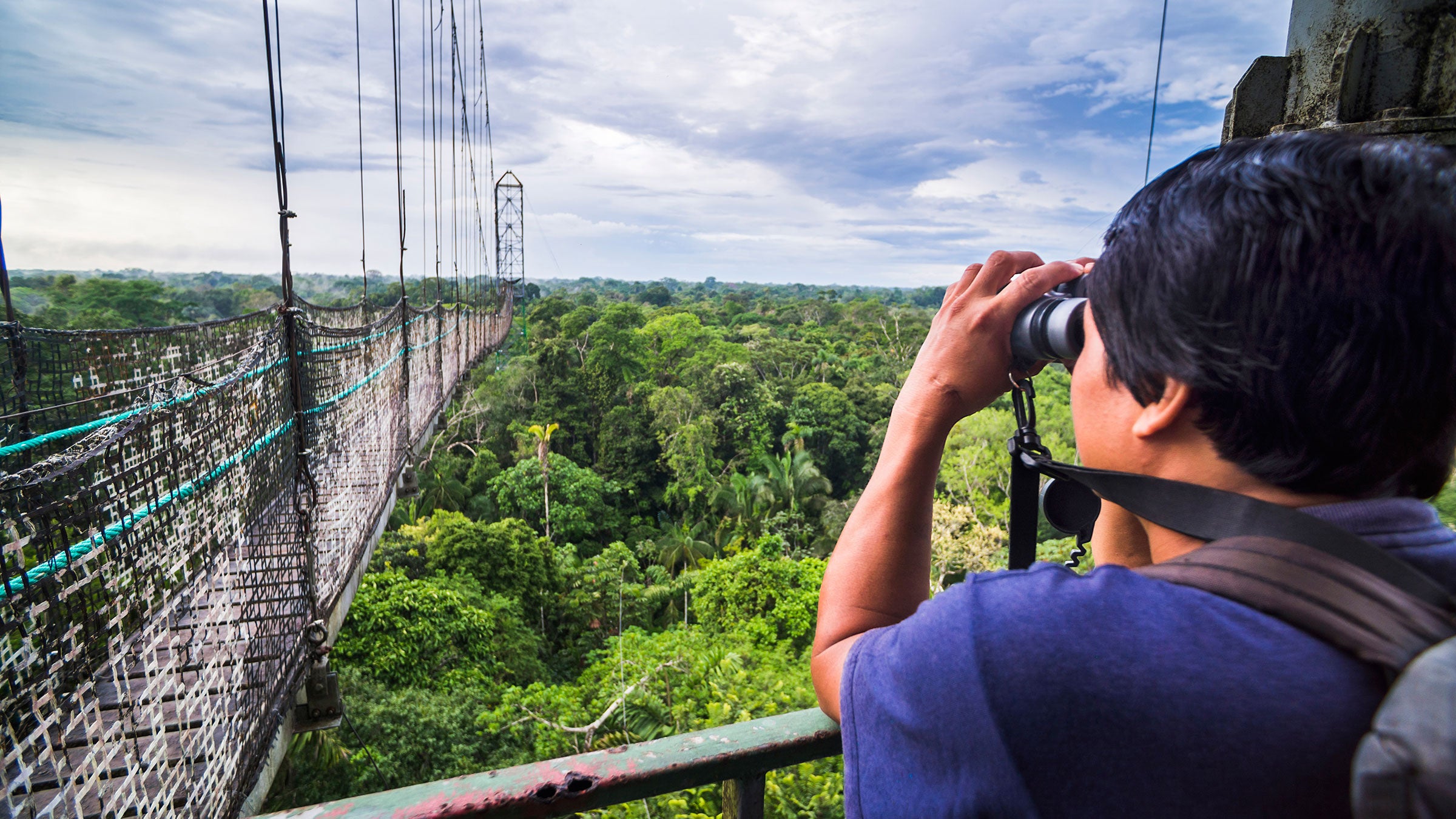 Amazon Rainforest Canopy Walk at Sacha Lodge, Ecuador. Matthew Williams/Ellis