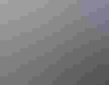 Amazon Rainforest Canopy Walk at Sacha Lodge, Ecuador. Matthew Williams/Ellis