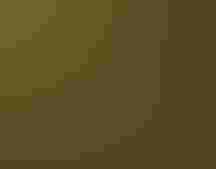 Photo of an American Bittern eating an aquatic insect. Credit: Glenn Hemberger/³Ô¹ÏºÚÁÏ Photography Awards