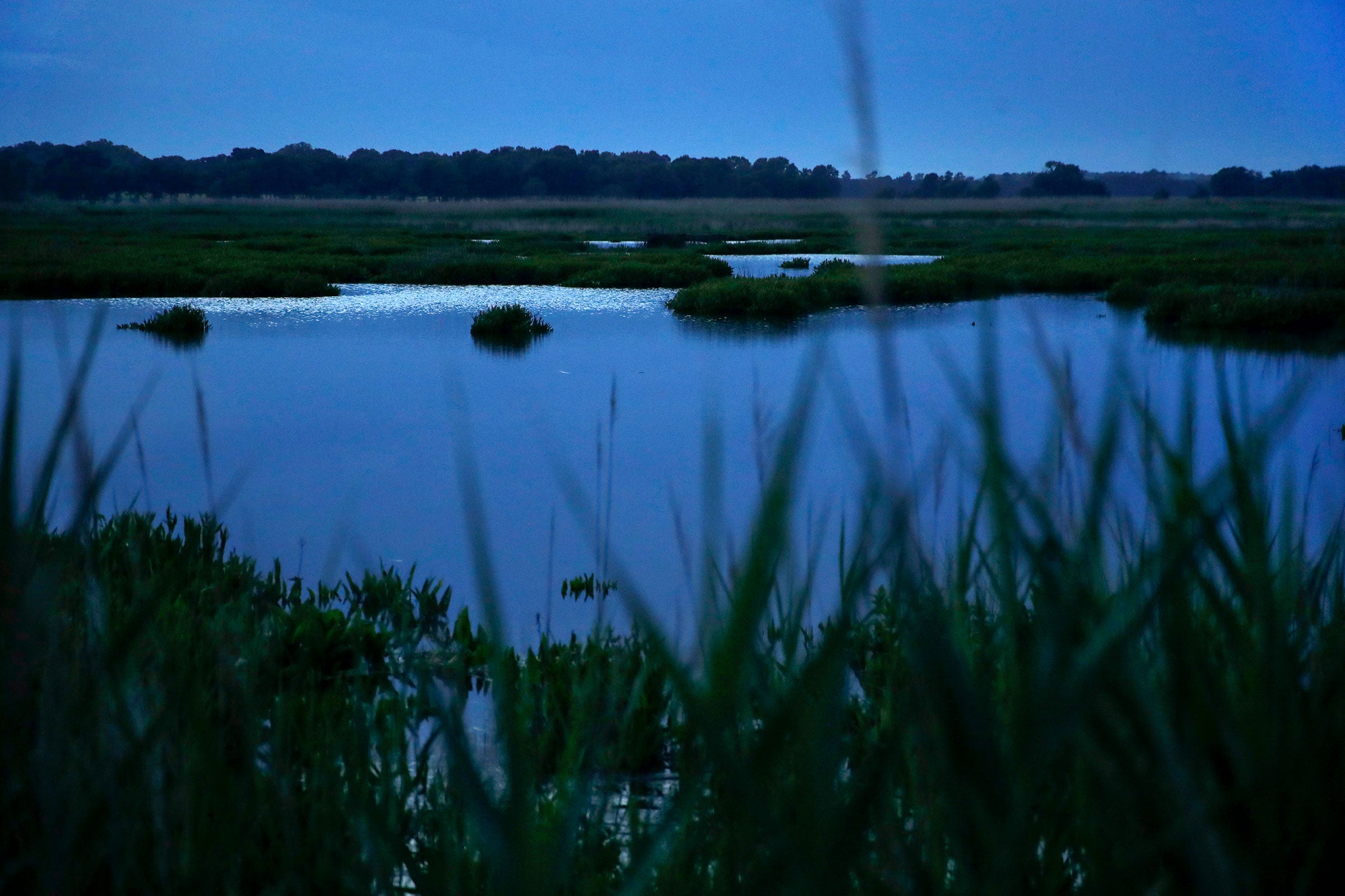 Wetlands along the Choptank River, Maryland. The Choptank and other waterways on Maryland's Eastern Shore played crucial roles in the Underground Railroad, both for transportation and as conduits of information. Patrick Semansky/AP