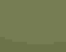 Orange-crowned Warbler