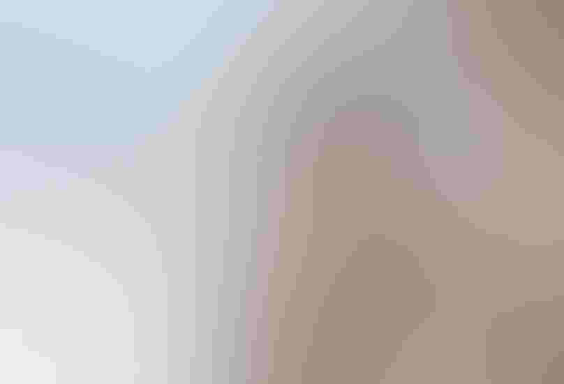 Red-tailed Hawk clutching its prey. Photo: Ray Whitt/Audubon Photography Awards