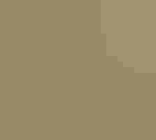 Palm Warbler.