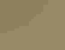 Paruline à couronne rousse.