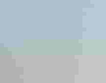 Photo of two American Oystercatchers on the beach.