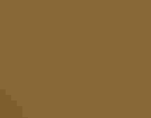 Greater Yellowlegs
