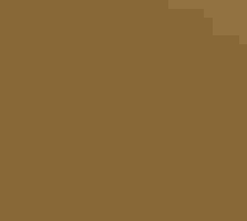 Greater Yellowlegs