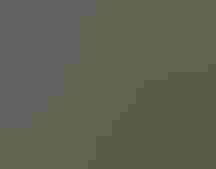 Photo of an Atlantic Puffin with fish in its beak. Credit: Bonnie Block/³Ô¹ÏºÚÁÏ Photography Awards