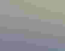 Illustration: Ana Galvañ