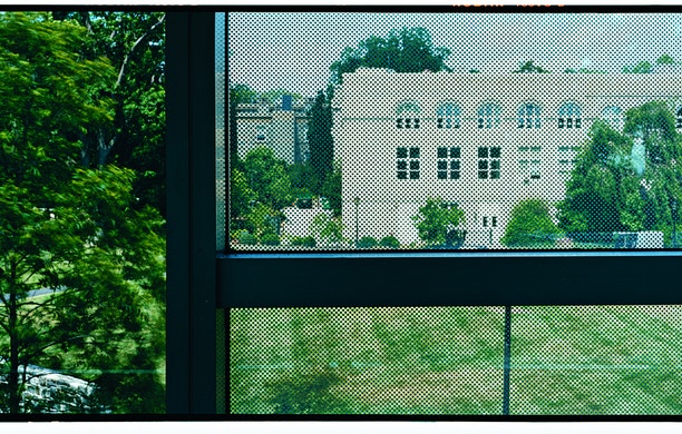 Bird-Friendly Buildings | Audubon
