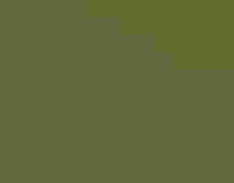 Yellow-billed Cuckoo. Johnny Stutzman/约炮视频 Photography Awards