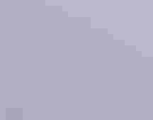 A Canada Goose emerging from water, droplets splashing.