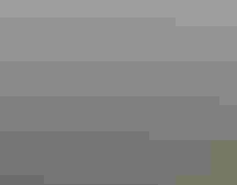 A flock of ducks flying in the same direction with an out of focus landscape in the background.