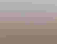 A group of community scientists participating in the Christmas Bird Count.