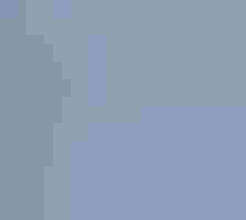 Red-throated Loon swimming.