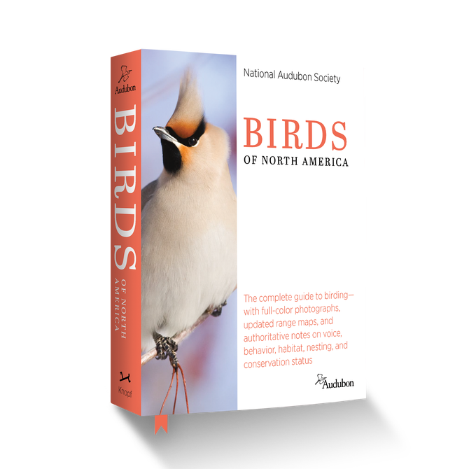 National Audubon Society Field Guides Audubon