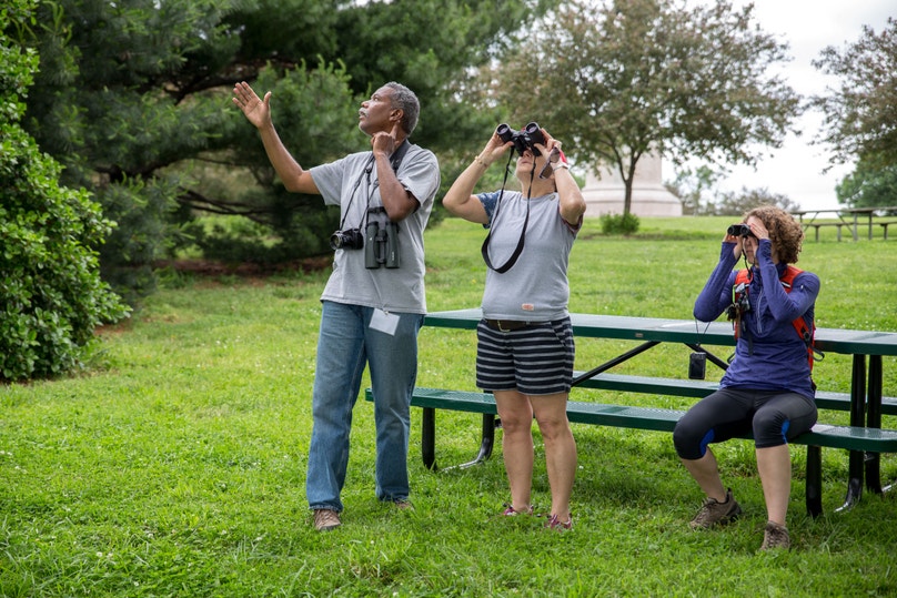 Baltimore’s Birding Scene Is on the Rise | Audubon
