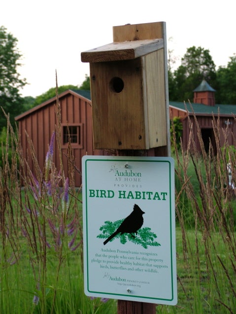 Audubon At Home property sign. Nancy Ondra
