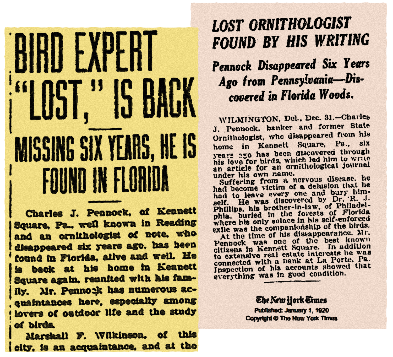 Newspaper clippings with headliens "Bird Expert 'Lost,' is Back" and "Lost Ornithologist Found by his Writing" 