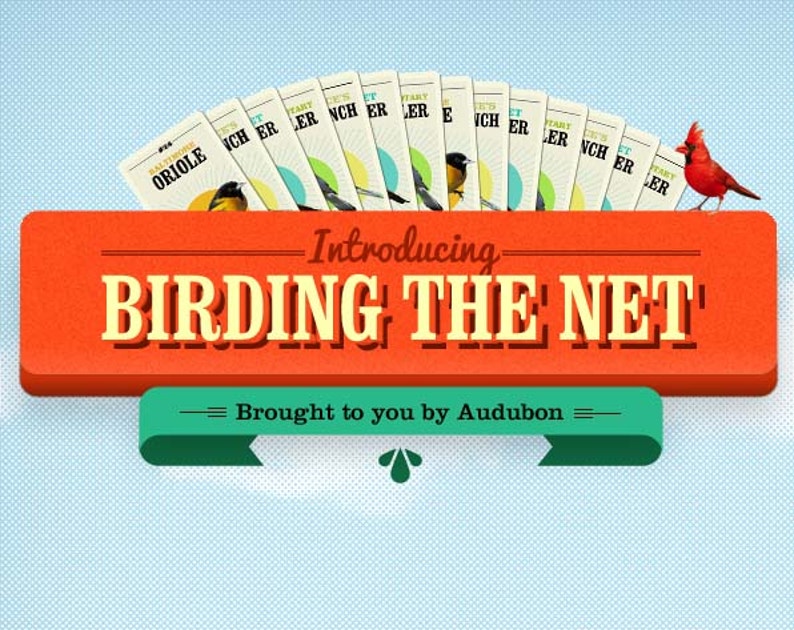 Virtual Bird Audubon releases virtual birds all over the Internet | Audubon