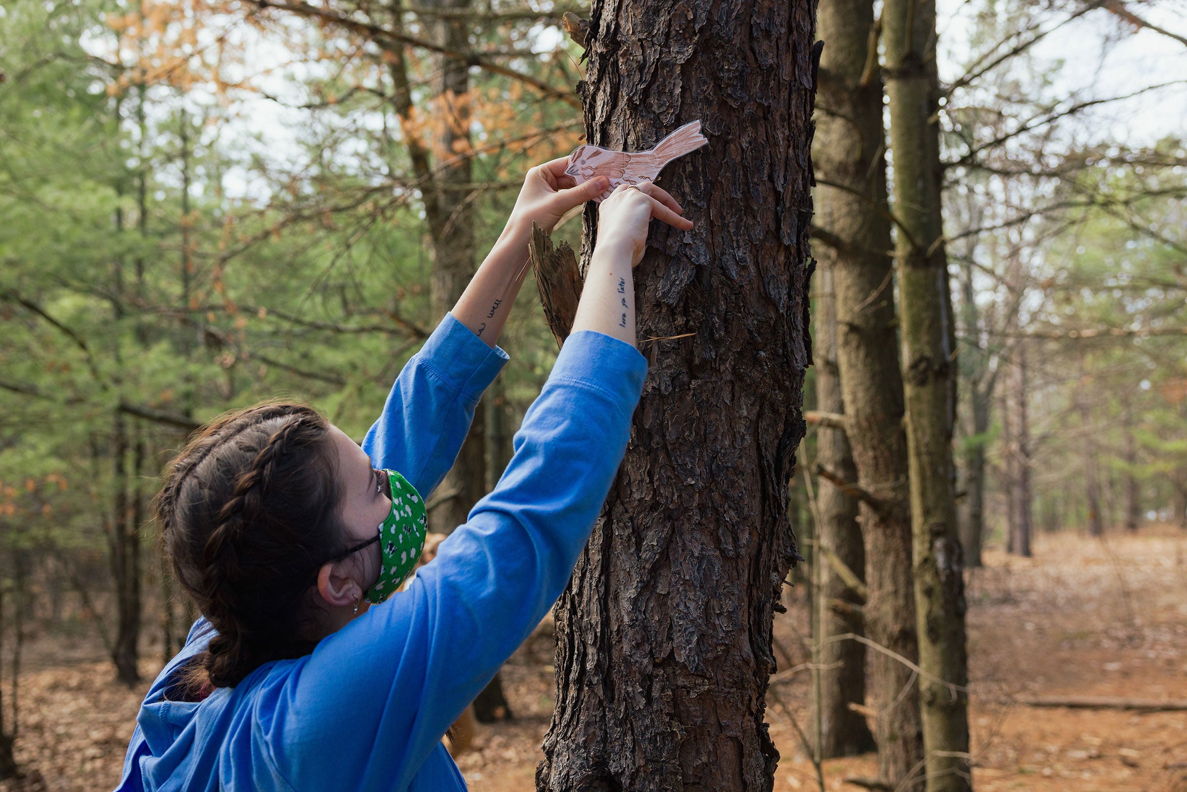 A University of Vermont student with brown hair and wearing a blue long-sleeved shirt reaches up the trunk of a big tree to attach a cut-out drawing of a bird as part of a scavenger hunt activity planned for Flynn Elementary School mentees.