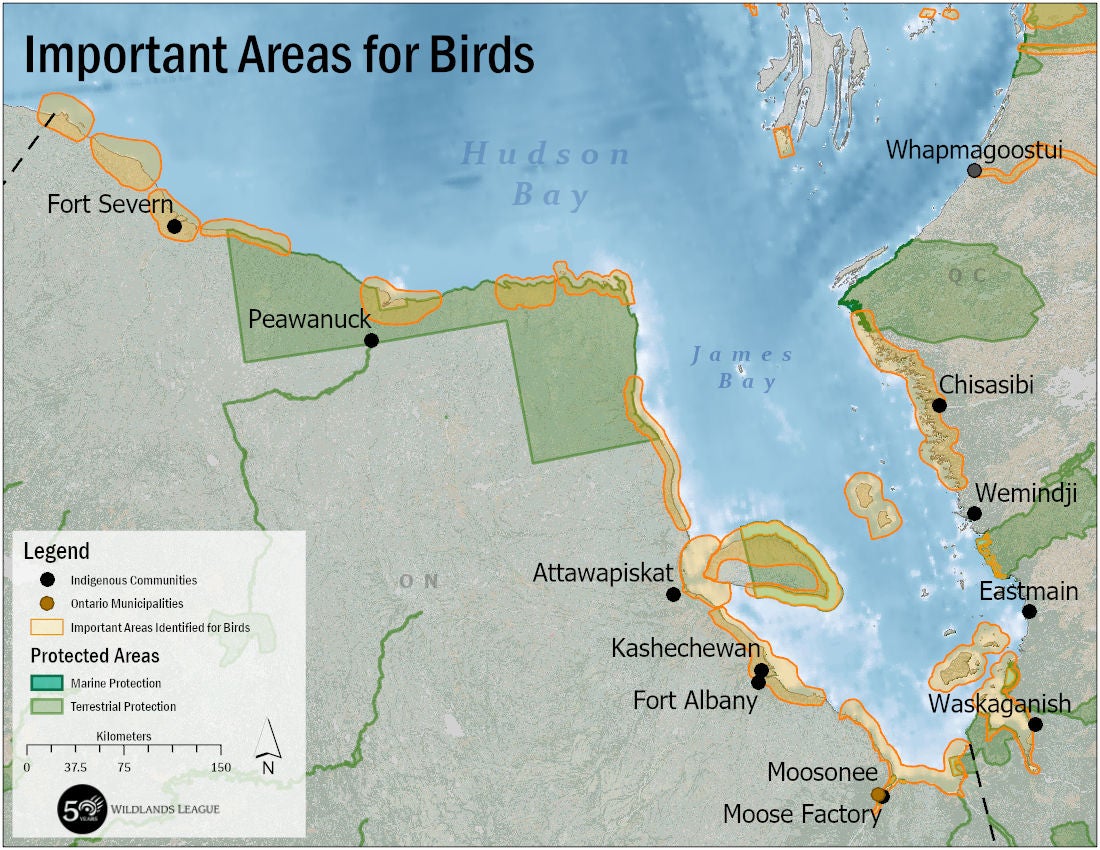A map showing important areas for birds along the coasts of Hudson Bay and James Bay A map showing important areas for birds along the coasts of Hudson Bay and James Bay