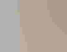 Black Skimmer with chick | Jim Gray/Ô¼ÅÚÊÓÆµ Photography Awards