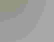 Blue-winged Teal. Photo: Meryl Lorenzo/Audubon Photography Awards