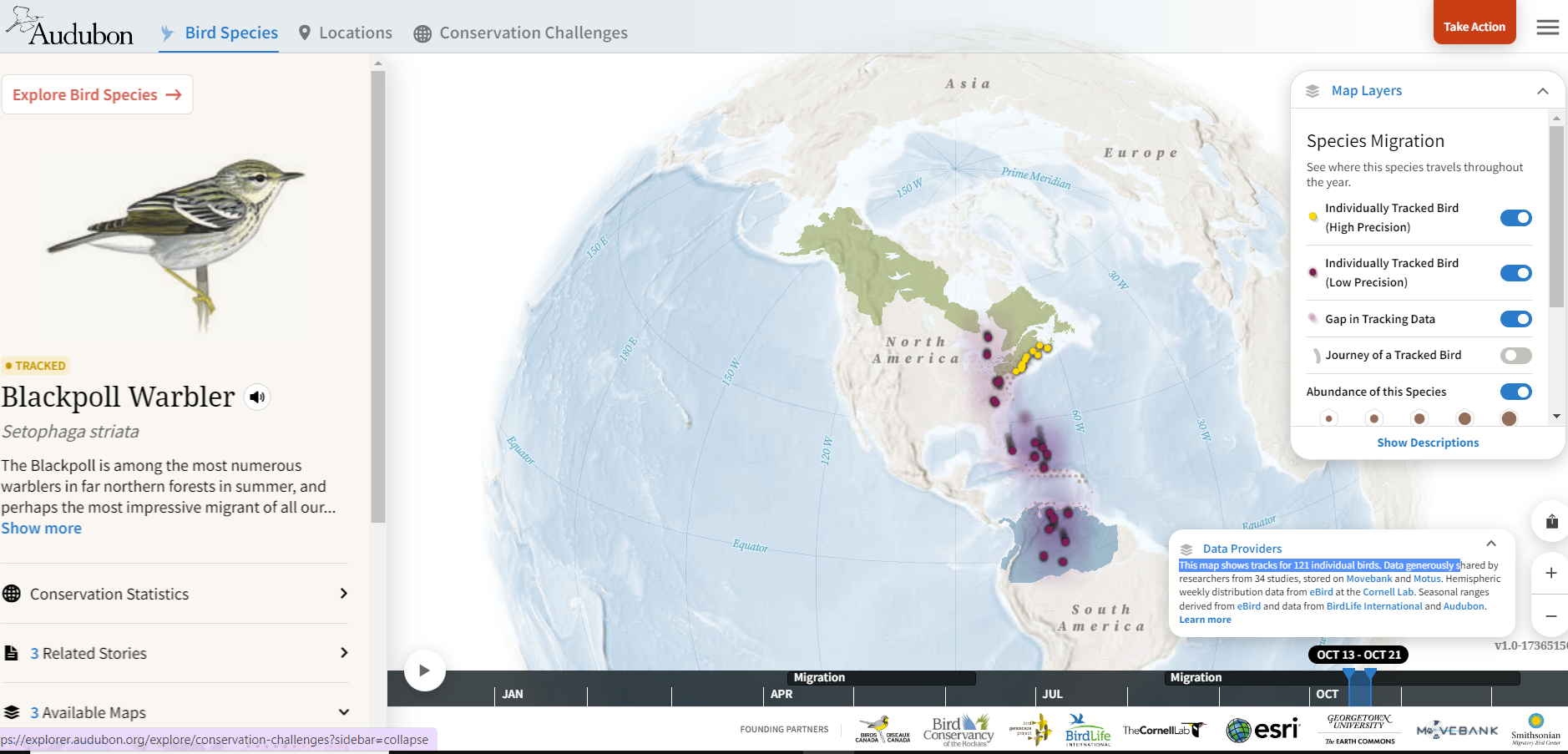 Screenshot of Bird Migration Explorer for Blackpoll Warbler. Screenshot of Bird Migration Explorer for Blackpoll Warbler.