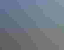 Golden Gate Raptor Observatory, California. Tim Laman